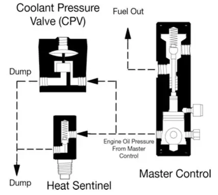 Sentinel System Diagram.webp